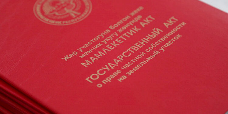 Кызыл китеп ала элексизби? Бишкектеги комиссиялар ишин улантып жатат