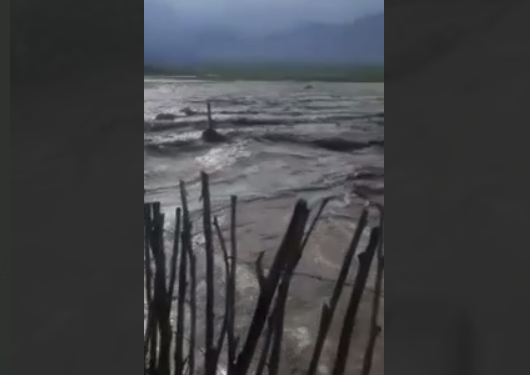 Тоңдо кыян жүрүп, картошка талааны жууп кетти деген видео тарады