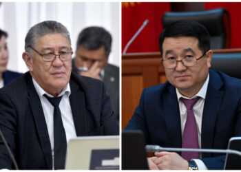 Вице-спикер Абыкеевге: «Президенттин жанында алдамчы, калпычы кишилер жүрбөшү керек»