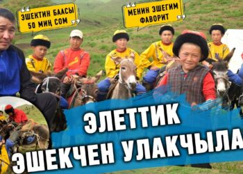 Элеттик эшек минген улакчылар