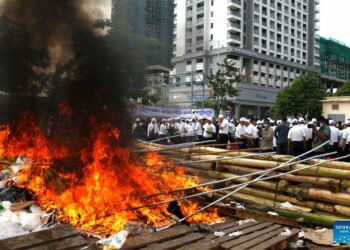 Камбоджада 6 тонна баңгизат эл көзүнө өрттөлдү. Дагы 336 тонна калды…