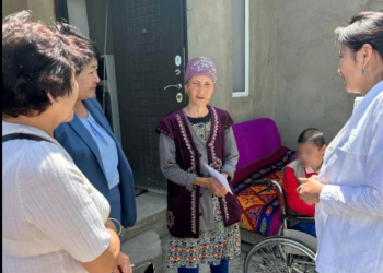 Айгүл Жапарова Таласка барып, саан уйларды байларга бергенби? Дайырбек Орунбековдун жообу