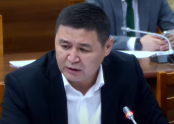 Депутат: «Электрондук тамекини 3-4-класстан баштап чегип жатышат»