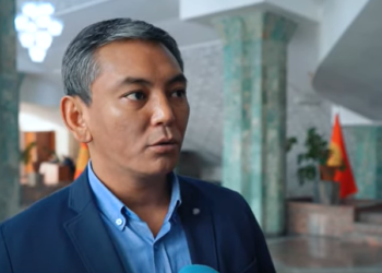 Депутат Самыйкожо Мадумаровдун иши боюнча берген добушун түшүндүрдү