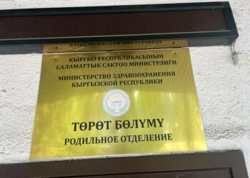 Чүйдө келин ымыркайын 100 миң сом, Айфон жана Орусияга билет үчүн сатмак болгон