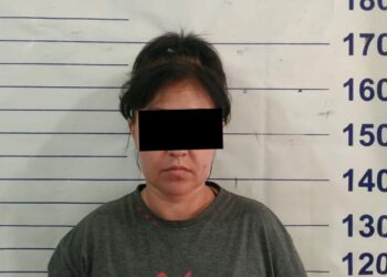 Бишкекте уурулукка шектелген аял киши кармалды