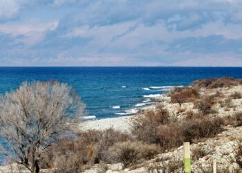Чолпон-Атада 2 адамдын өмүрүн алган эс алуу. Суудагы кырсыктын жаңы жагдайлары