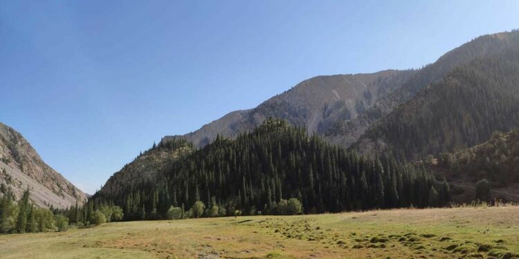 Ысык-Көлдө эки жигит тоого кеткен бойдон байланышка чыкпай жаткан. Алар табылды