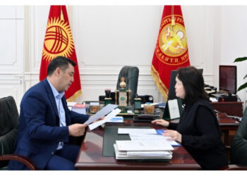 Садыр Жапаров: «Динара Кутманованын уулун эч ким уурдабаптыр. Түркияда кармалып турат»