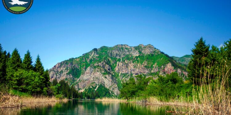 Сары-Челек коругунун көз жоосун алган кооздугу (сүрөт)