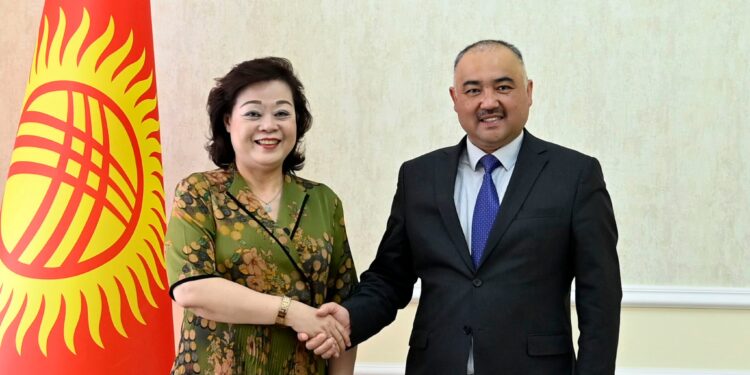 Төрага Нурланбек Шакиев Кытайдын Кыргызстандагы элчиси Ду Дэвэнди кабыл алды