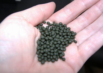 Баткенде 7 тонна насвай алып кетип бара жаткан айдоочу кармалды