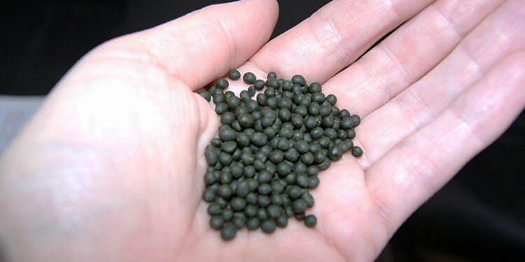 Баткенде 7 тонна насвай алып кетип бара жаткан айдоочу кармалды