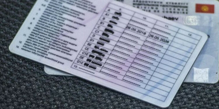 «Жок болуп кетишет». ИИМ интернетте «айдоочулук күбөлүктү 2 күндө беребиз» дегендерге ишенбөөгө чакырды