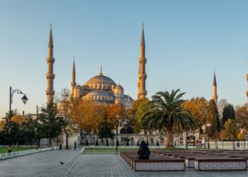 Стамбулда күчү 7 баллдан ашкан катуу жер титирөө күтүлөт