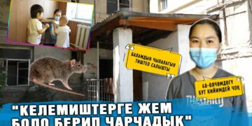 “Келемишке жем боло берип чарчадык” дейт бишкектин тургуну