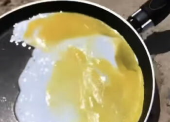 Казакстанда жаран күндүн табына жумуртка кууруп көрдү (видео)