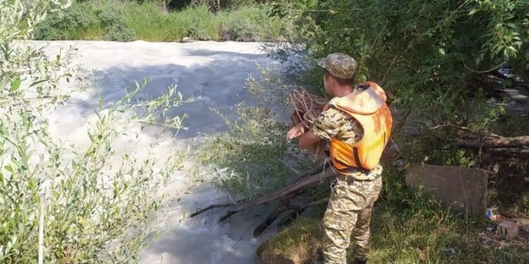 Чүйдөгү Аламүдүн суусуна агып кеткен эне-бала боюнча милиция маалымат берди