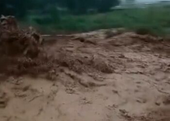 Нарындагы ташкындаган катуу селдин видеосу тарады