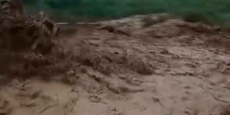 Нарындагы ташкындаган катуу селдин видеосу тарады