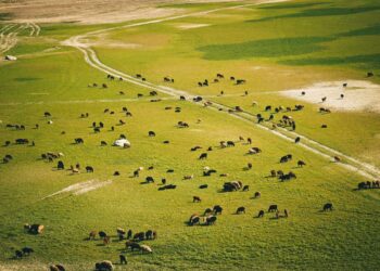 1-августка карата өлкөдө күтүлгөн аба ырайы