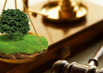 Жерлерди өзүм билемдик менен басып алуу үчүн жоопкерчилик күчөтүлдү