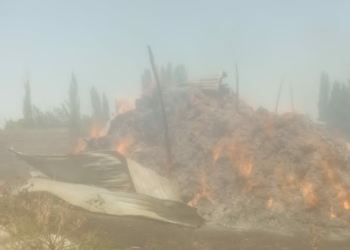 Чүйдө жарандын кышка дайындалган 3 миң түк чөбү өрттөнүп кетти