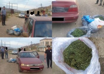 Жалал-Абадда 2 жаран 10 килограммдан ашуун баӊгизат менен кармалды