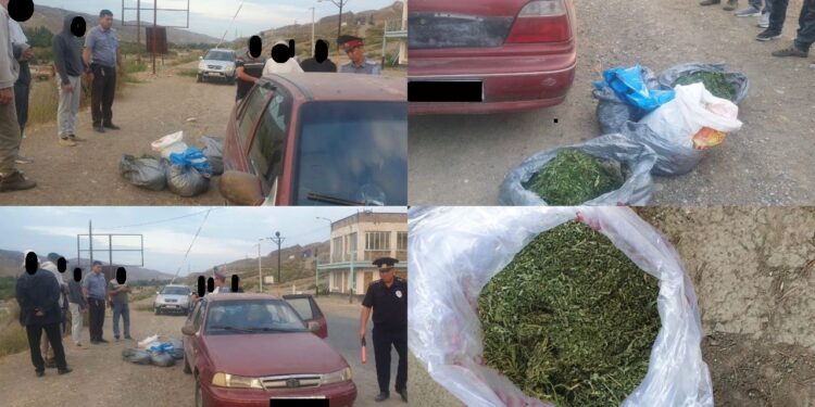 Жалал-Абадда 2 жаран 10 килограммдан ашуун баӊгизат менен кармалды