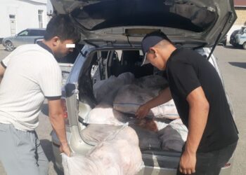 ИИМ: «Лейлекте чек араны бузуп кирип, жүк алып чыгып бараткан Тажикстандын жараны кармалды»