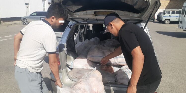 ИИМ: «Лейлекте чек араны бузуп кирип, жүк алып чыгып бараткан Тажикстандын жараны кармалды»