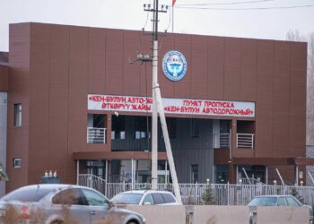 Чек ара кызматы кыргыз-казак чек арасында 600дөн ашуун унаа турганын билдирди