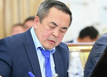 Теңгиз Бөлтүрүк 100 миң доллар айлык алып жүргөнбү? Министрлик жооп берди