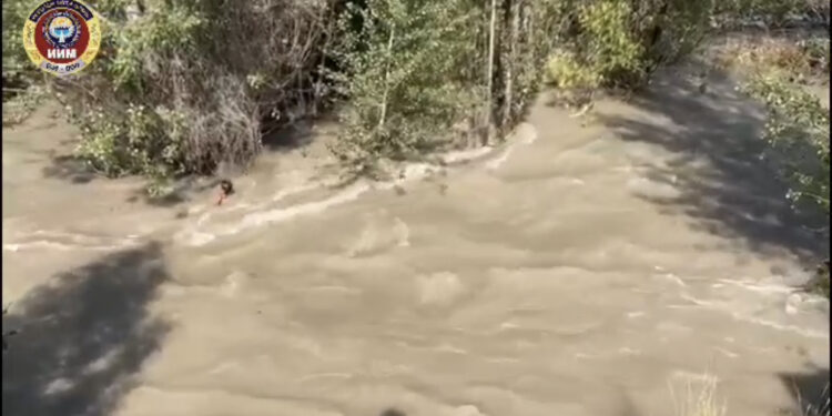 Бишкекте жол тескөөчүлөр каналда агып бара жаткан баланы куткарышты (видео)