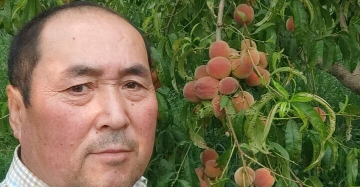 Баткенге бара жаткан жол боюн гүлзарга айланткан багбан: «Бош жер көрсөм, гүл тикмей адатым бар»