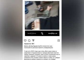 Орусияда аял киши күйөөсү тарабынан өлтүрүлгөн. Алар кыргызстандыктар болушу мүмкүн