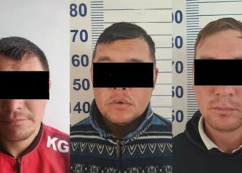 «9 баш уй, 26 кой». Таласта 3 жаран мал уурдоого шектелип кармалды