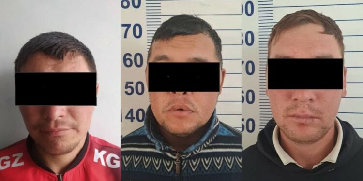 «9 баш уй, 26 кой». Таласта 3 жаран мал уурдоого шектелип кармалды