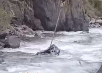 Бишкек-Ош унаа жолунда жол кырсык катталып,  5 адам каза болгону айтылды