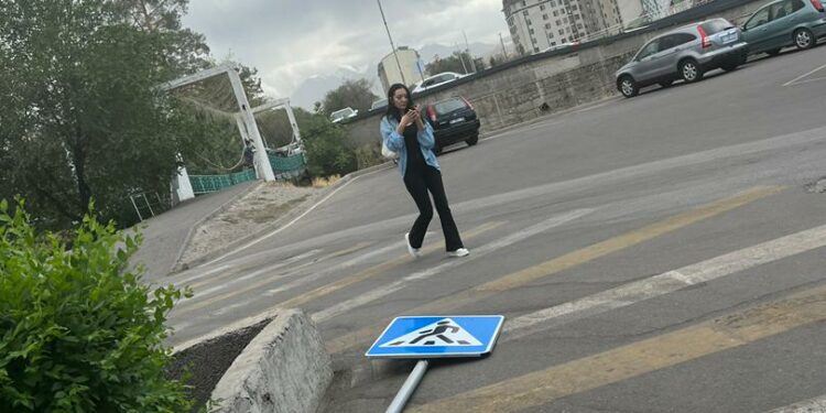 Бишкекте белгисиз жарандар жол белгилерин бузуп кетишти