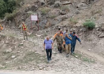 Чүйдө параплан менен учкан Орусиянын жараны капчыгайга кулап калган