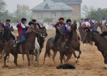 Президенттин кубогу 2023: Көк бөрү боюнча мелдештер башталды