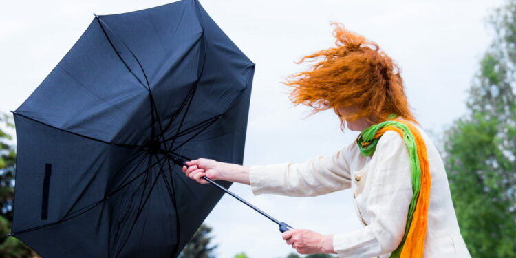 Бишкек менен Чүйдө катуу шамал болот