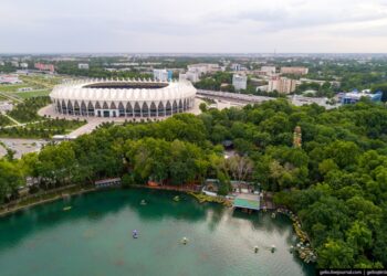 Ташкентте ар бир даракка паспорт берилип, аны багууга бир адамды бекитет