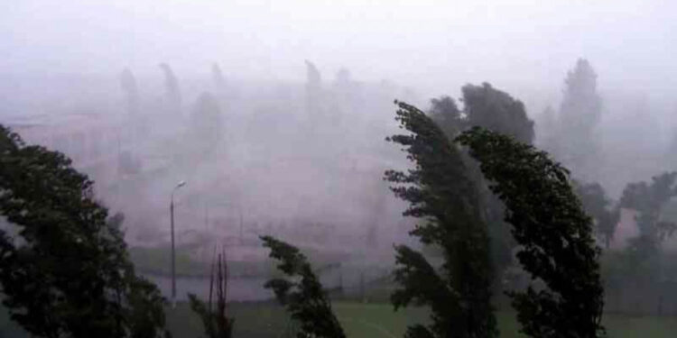 Бишкек менен Чүйдө катуу шамал күтүлөт