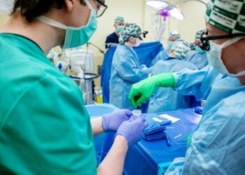 Адамга салынган чочконун бөйрөгү биринчи жолу «иштей» баштады