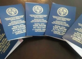 «84 бүтүрүүчүнүн 35и гана 110дон ашык балл алган». Министрлик «Ай Кью» мектеби боюнча үн катты