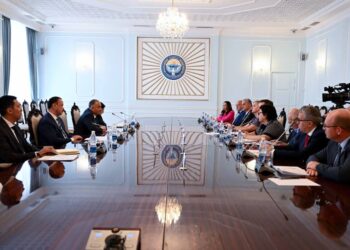 Нурланбек Шакиев Европа парламентинин мүчөлөрү менен жолугушту