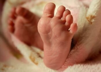 Ноокенде аял дааратканада төрөп, баласын ошол жерге таштап кеткен. Сот өкүм чыгарды