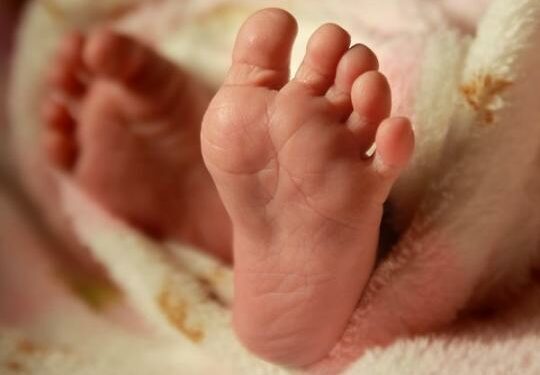 Ноокенде аял дааратканада төрөп, баласын ошол жерге таштап кеткен. Сот өкүм чыгарды